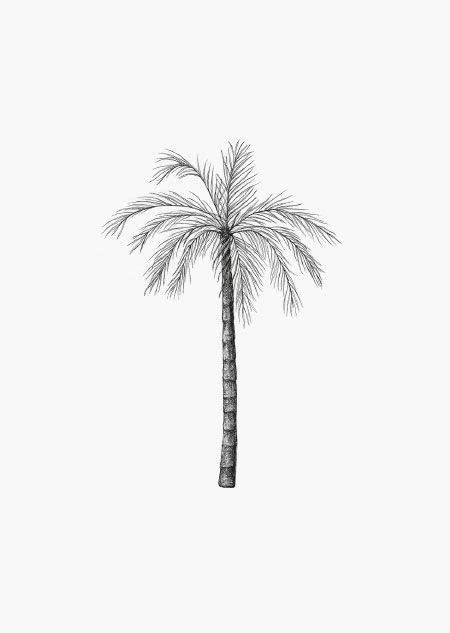 Inkylines Shop Palm Tree Drawing Palm Tattoos Small Tattoos For Guys