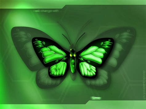 Free Download Live Butterfly Wallpaper And Make This Live Butterfly