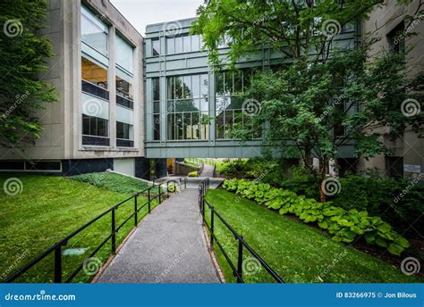 Walkway And Griswold Hall At Harvard Law School In Cambridge Stock