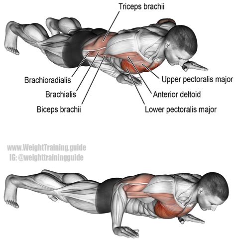 Tight pectoral muscles contribute to a postural deviation known as forward rounded shoulders and limit range of motion in the shoulder joint. Isometric wiper exercise instructions and video | Chest ...