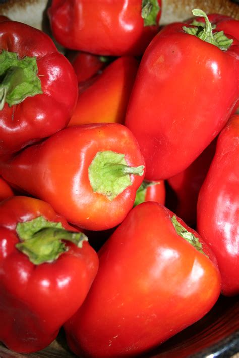 604 x 900 jpeg 63 кб. "Little Bells" Organic Sweet Pepper Seed - Triple Divide ...