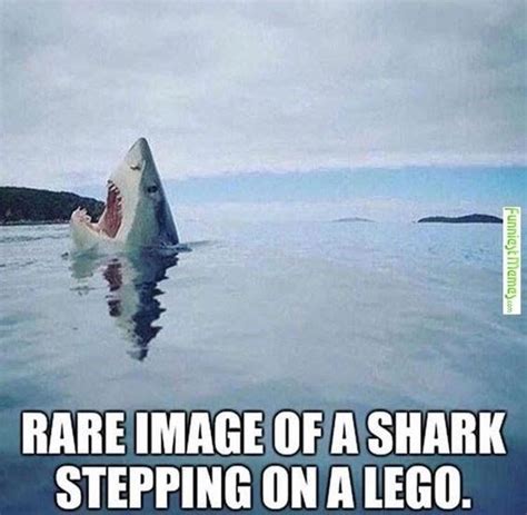 15 Hilarious Lego Memes We All Can Relate Too And Laugh At Lego