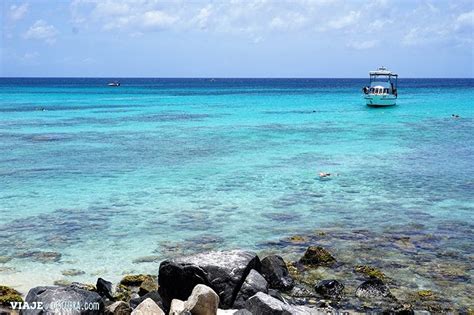 Descubriendo Aruba La Isla Feliz Aruba Surf Coastline Water Travel