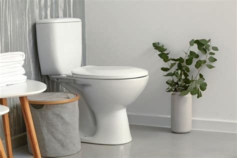 5 Best Handicap Toilets Of 2021 Comfortable Toilets For Persons With A