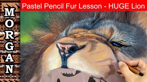 Pastel Pencil Fur Lesson Lion Wildlife Art Jason Morgan Youtube