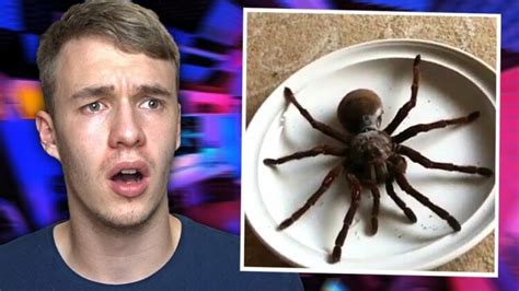 Tohle je NEJVĚTŠÍ pavouk na SVĚTĚ Youtuberi tv