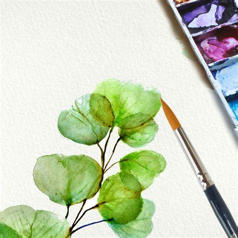 Watercolor Botanical Printwatercolor Hanging Plants And Etsy