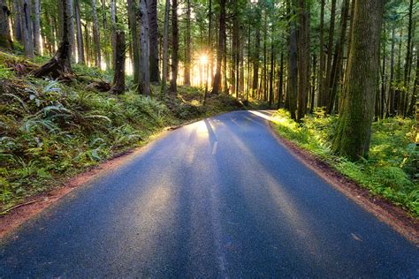 Forest Road In Oregon By Michael Matti Having Just Shot Su Flickr