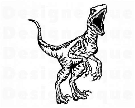 Raptor Svg Dinosaur Svg Raptor Clipart Raptor Files For Etsy Clip