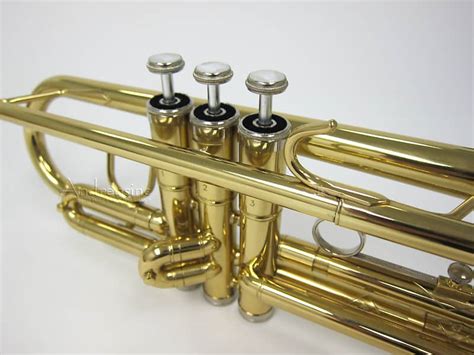 Student Brass Trumpet w/ Deluxe Case | Andreas, Inc | Reverb