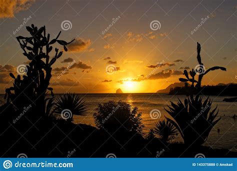 Martinica cursos de francés en martinica. Tramonto All'isola Carribean Francese, La Martinica ...
