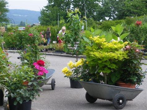 Check spelling or type a new query. Gartentipps - Baumschule Salzburg - Spezialist für ...