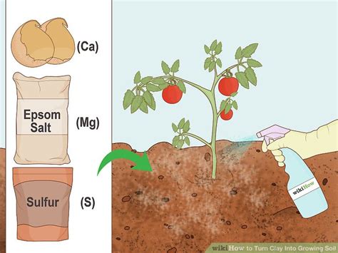 How To Turn Clay Into Growing Soil 5 Steps With Pictures