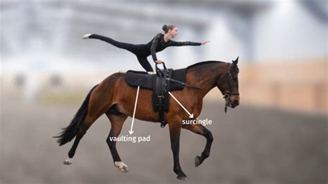 Equestrian Vaulting Game Rules
