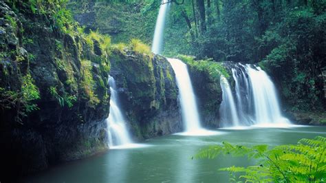 🥇 Falls New Zealand Moss Waterfalls National Park