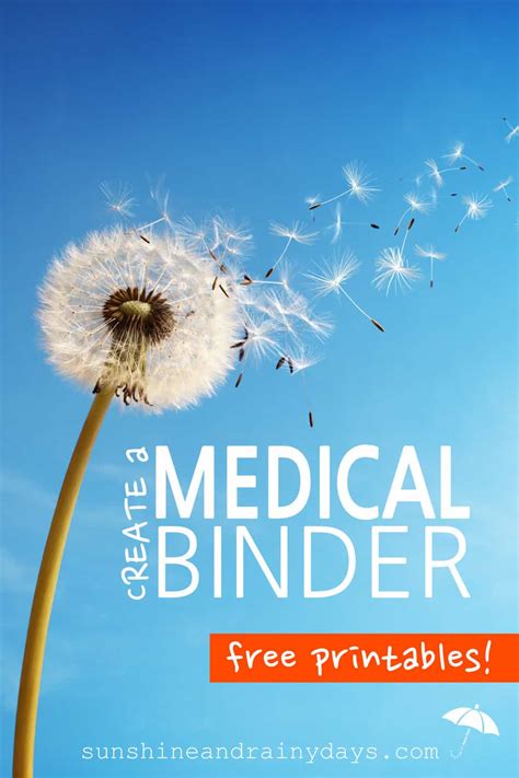 Big discounts & fast shipping! Medical Binder Printables - Sunshine and Rainy Days