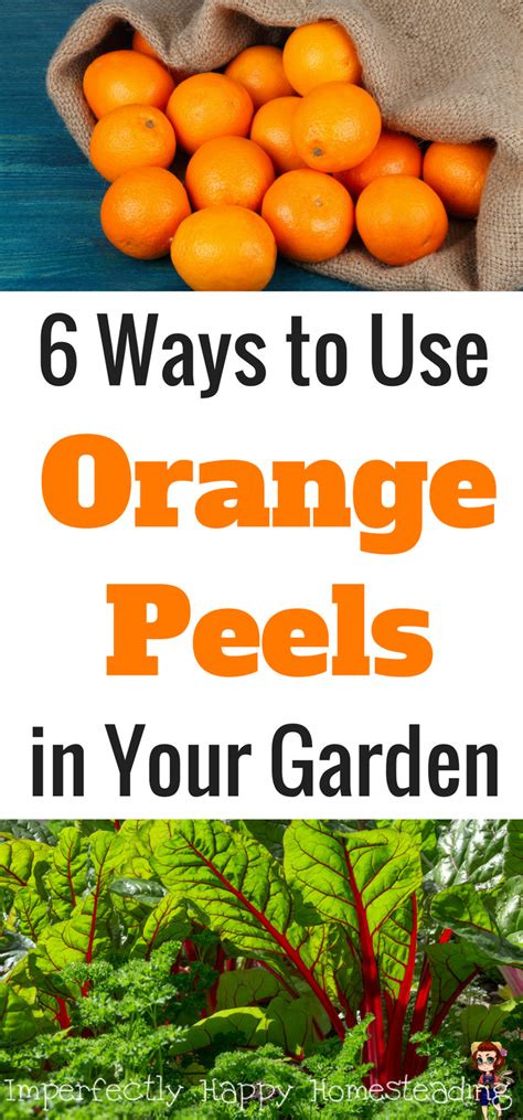 How To Use Orange Peels For A Better Garden In 2020 Garden Pests