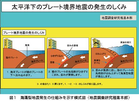 汶川地震救灾款物审计结束 近期将向社会公告 · 19:04 人大常委会要求各地改造未达抗震要求校舍 · 17:08 双胞胎妈妈地震遇难爸爸精神失常 寻找新家 · 10 海底地殻変動観測について | 地震本部