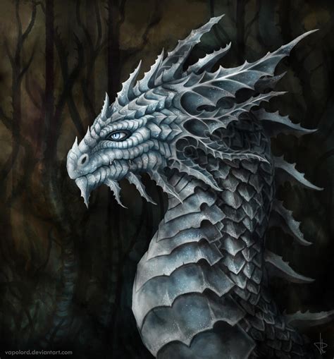 White Dragon Portrait By Vapolord On Deviantart