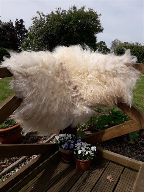 Icelandic Sheep Fleece Rug Sold East Hill Mill