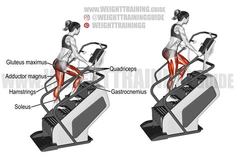 Stairmill Climb Exercise Instructions And Video Weighttrainingguide