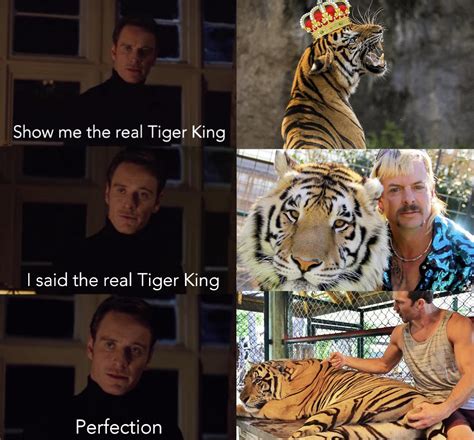 Nsfw Tiger King Memes Knockin Jokes