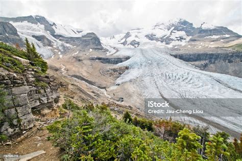 Hiking In Snowbird Pass Trail In Mt Robson Provincial Park Stock Photo