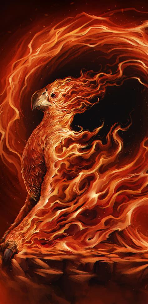 Blue Fire Phoenix Wallpapers Top Free Blue Fire Phoenix Backgrounds