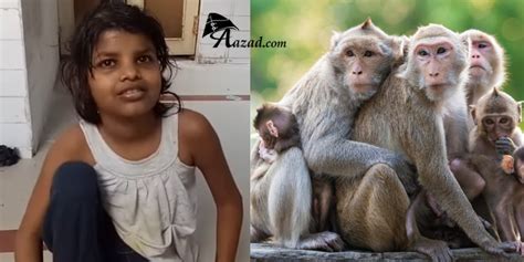 Girl Mowgli Raised By Monkeys Found In Up Forest