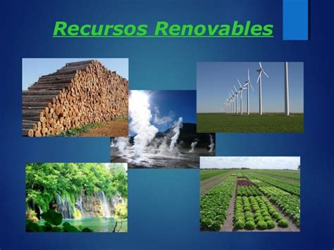 Recursosos Renovables