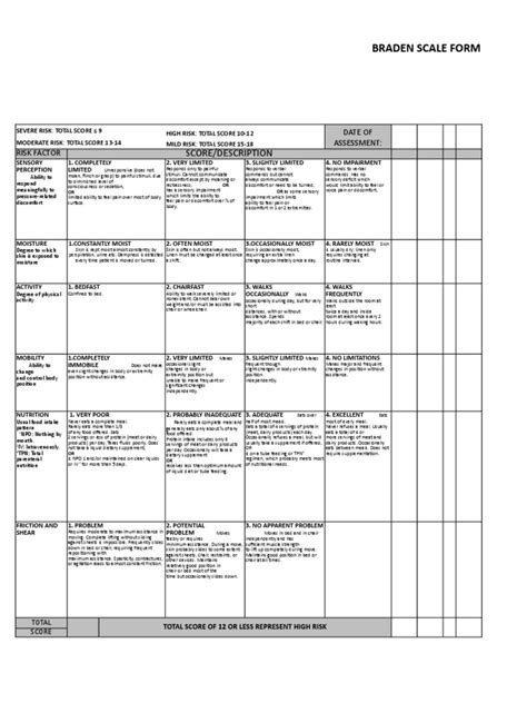 Braden Scale Form Pdf Pain Perception