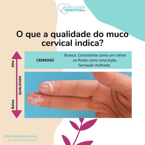 O Que E Muco Cervical