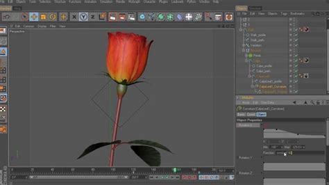 Part 3 Animating The Blossom Xfrog And Cinema 4d By Xfrog Plants