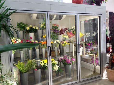 QUICK SALE COMMERCIAL FLOWER FRIDGE/COOLER FOR FLORISTS ***** | in