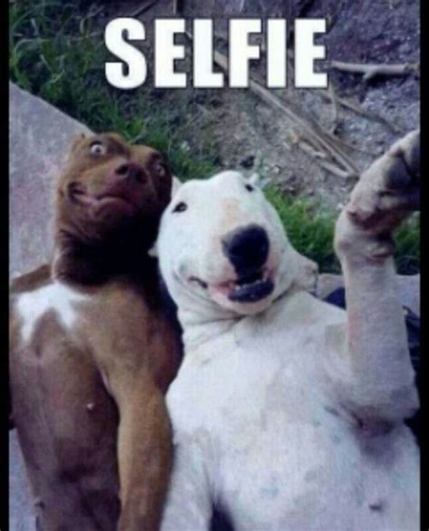 But First Let Me Take A Selfie Hund Witze Lustige Tiere Lustige