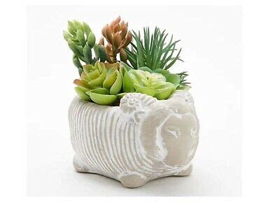 Find new faux flowers for your home at joss & main. Wicker Park Faux Succulent in Animal Pots - NEW | eBay