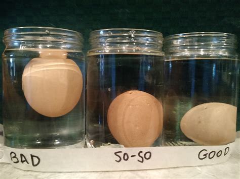 Following are some ideas to store eggs properly these bacteria disturb your stomach badly. Simply Living: How to tell good eggs from bad
