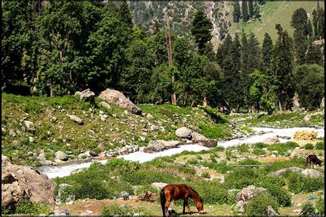 There is a mention of amareshwar or amarnath temple in the book rajatarangini. Amarnath Yatra 2020 - Routes, Helicopter Booking, Dates