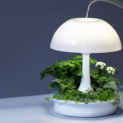 Maybe you would like to learn more about one of these? Upscale Florist | Houseplants + Planters | Red Square ...