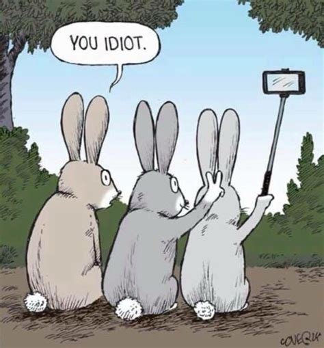 Dumbass Bunny 9GAG
