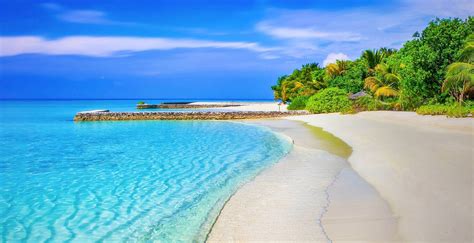 If you would like to start opening a bank account in the cayman islands, please contact our specialists through email or application form on our website. Offshore Banking: How To Open The BEST Account | Sovereign Man
