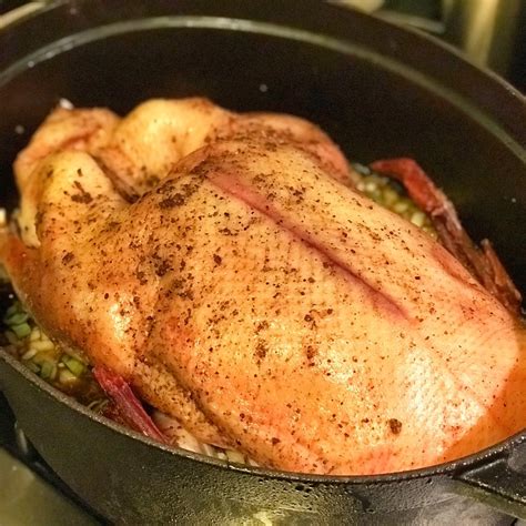Ovenbirds Home Cooking Adventures