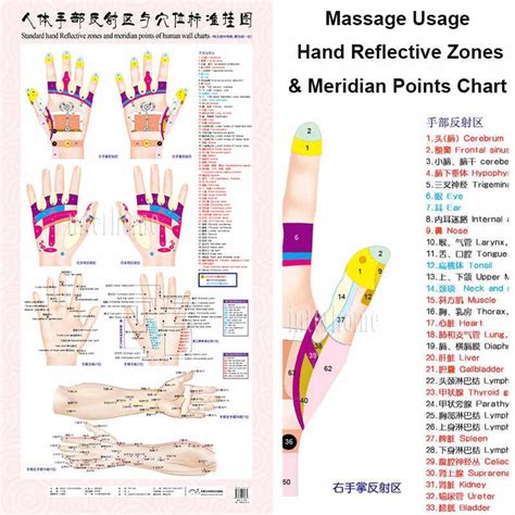Standard Meridian Acupuncture Points Chart And Zhenjiu Moxibustion