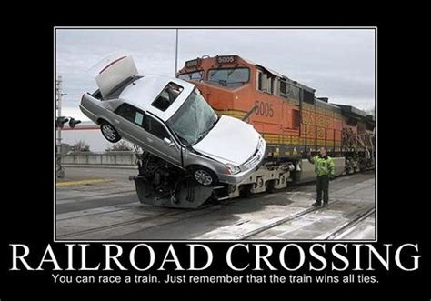 28 Exciting Funny Pictures With Sayings Creativefan Train Train