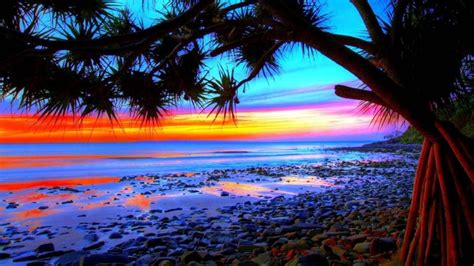 Тропический пейзаж красочный пляж силуэт заката на фоне природы обои