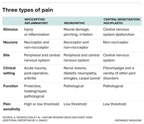 The Unexpected Diversity Of Pain Scientific American