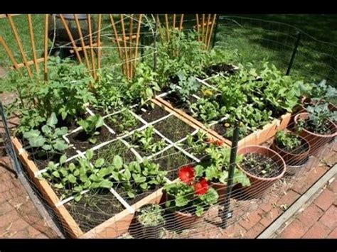 We're now facing the same struggle all over the world with the pandemic. Home Vegetable Garden Ideas & Types on a Budget - YouTube