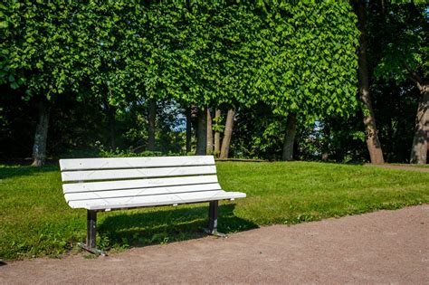 White Bench In The Summer Park Featuring Background Beautiful And