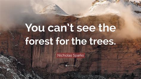 Nicholas Sparks Quote “you Cant See The Forest For The Trees” 10
