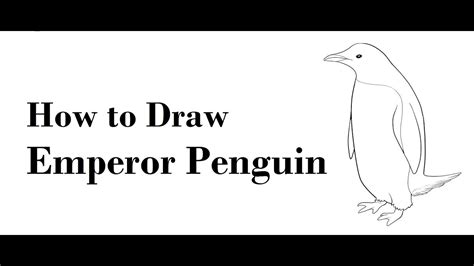 Learn how to draw a cartoon penguin the fun and easy way. How to draw emperor penguin pencil drawing step by step ...